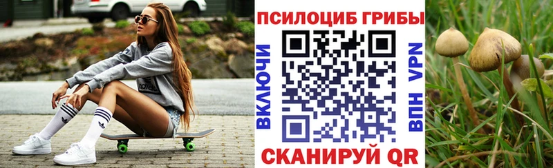 Купить закладки  Бобров  Псилоцибиновые грибы Magic Shrooms 